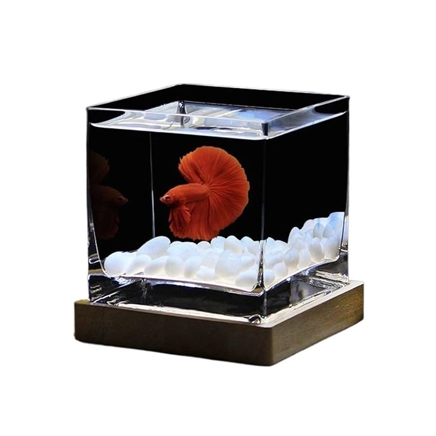 ガラス水槽 キューブ型 コトブキ工芸 ガラス水槽 クリスタルキューブ 250(25×25×25cm